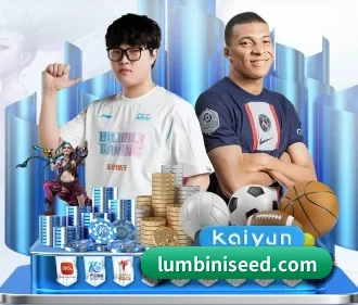持续创新